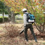 Soprador de mochila 4T 52.5 ccEB5300TH